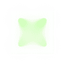 Pawlonia Icon